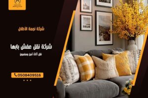 شركة نقل عفش بابها