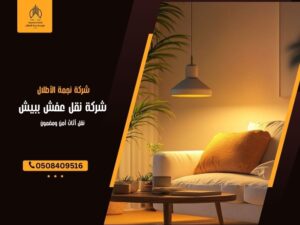 شركة نقل عفش ببيش