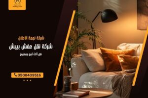 شركة نقل عفش ببيش
