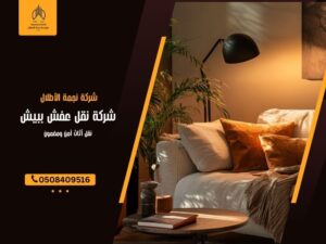 شركة نقل عفش ببيش