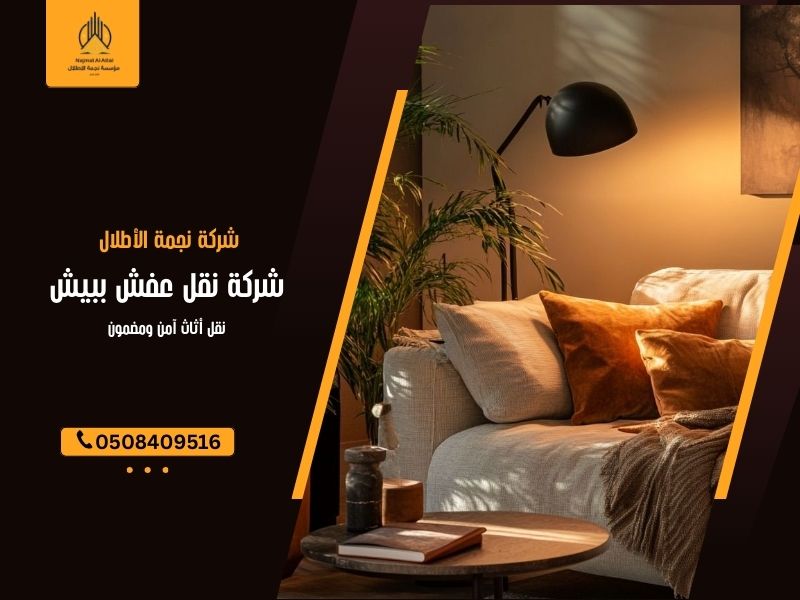 شركة نقل عفش ببيش