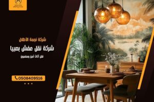 شركة نقل عفش بصبيا