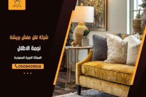 شركة نقل عفش ببيشة