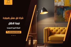 شركة نقل عفش بالمجاردة