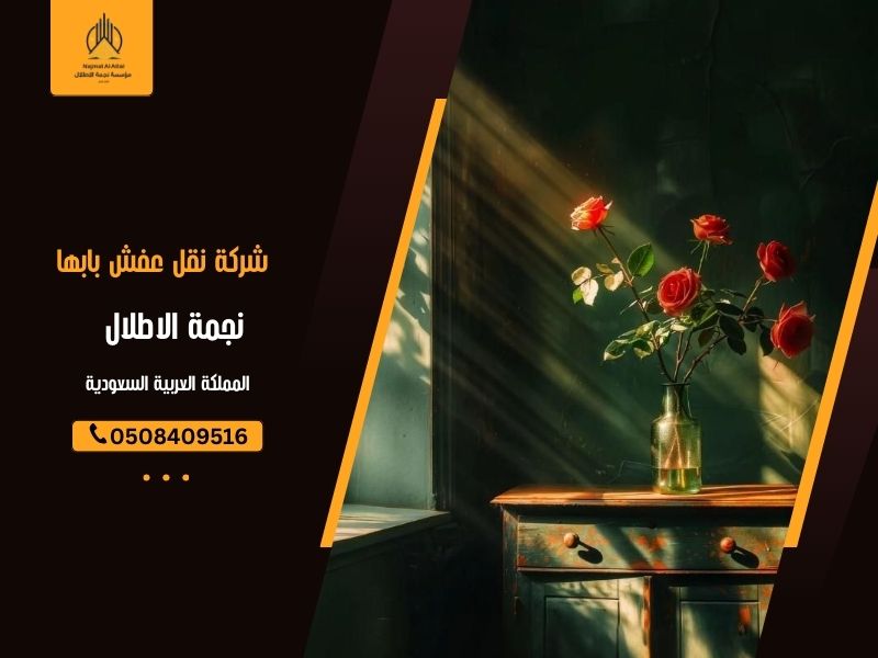 شركة نقل عفش بابها